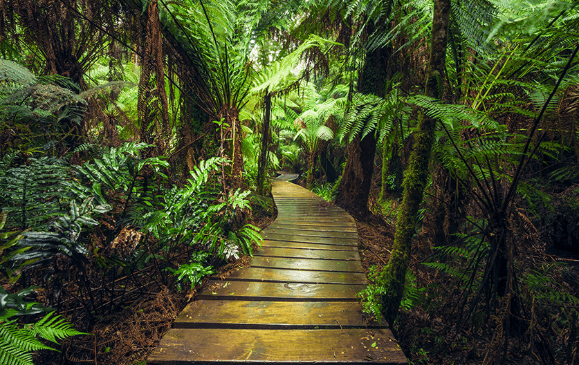 5 National Parks you have to visit