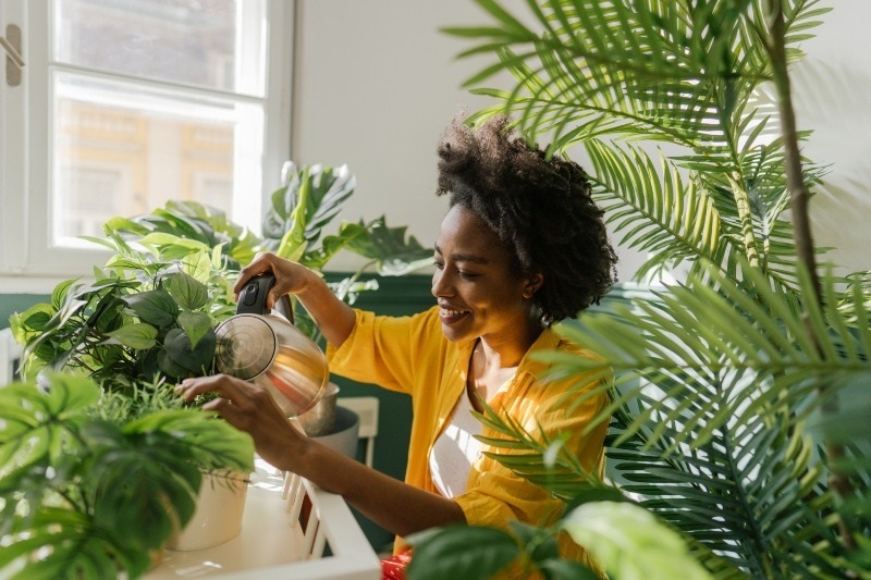 BIOPHILIA design