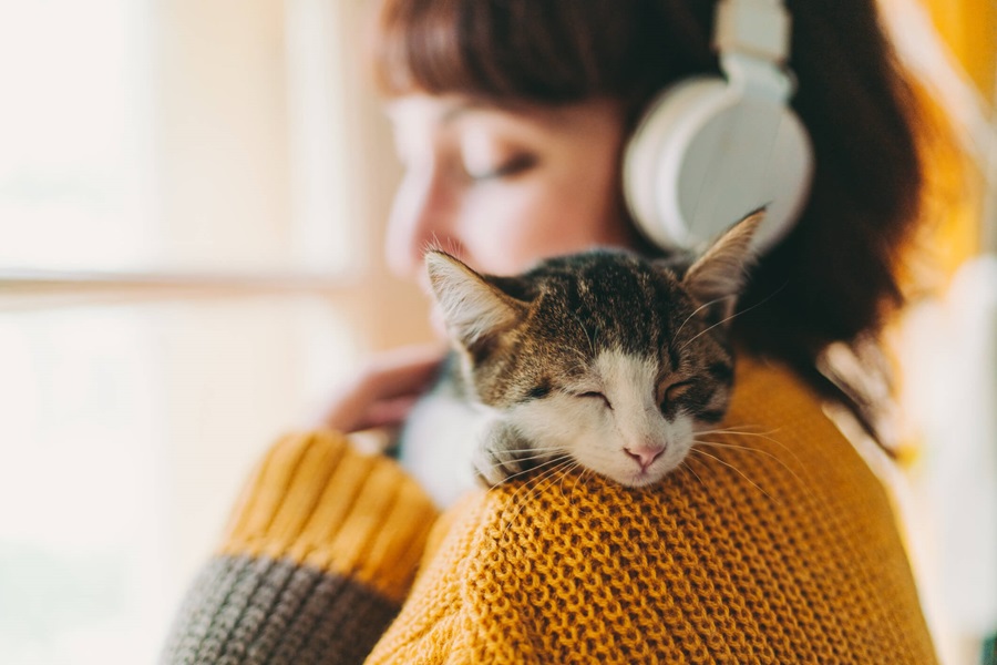 Understanding the chemicals controlling your mood
