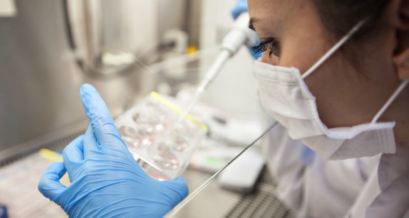 IVF Blog lab