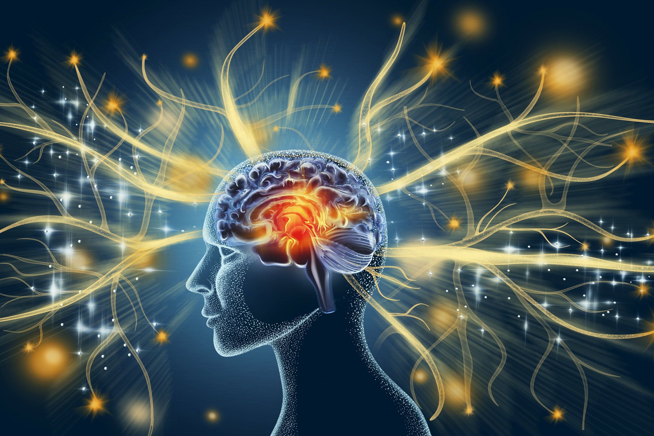 Neurodiversity_blog_image_2 picture_of_brain