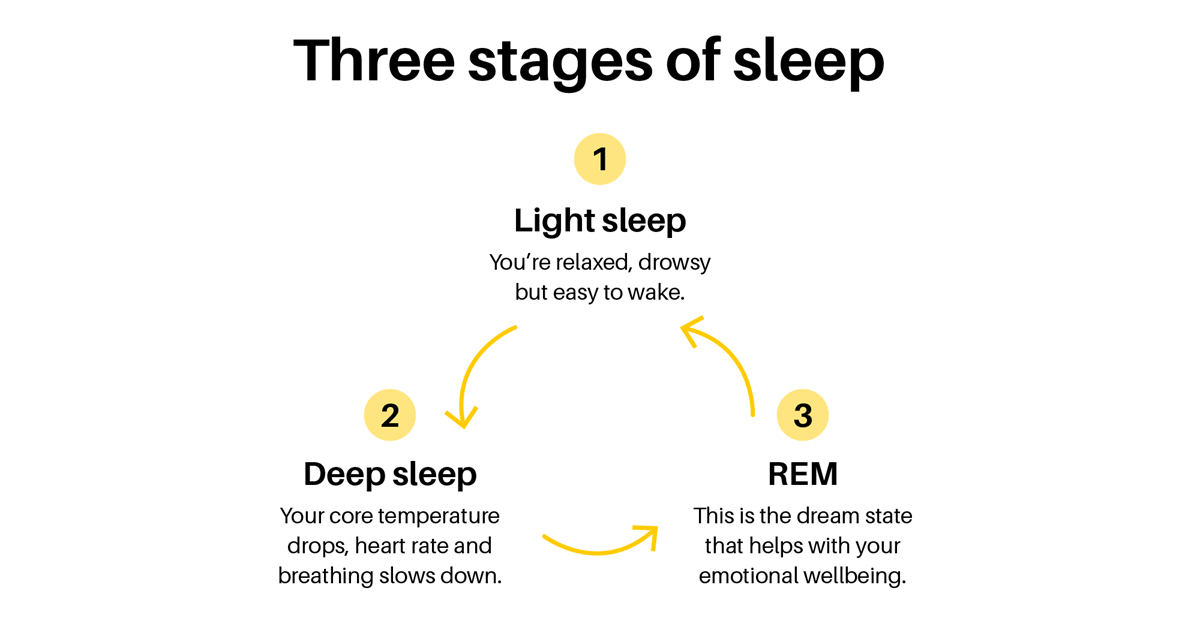 stages of sleep