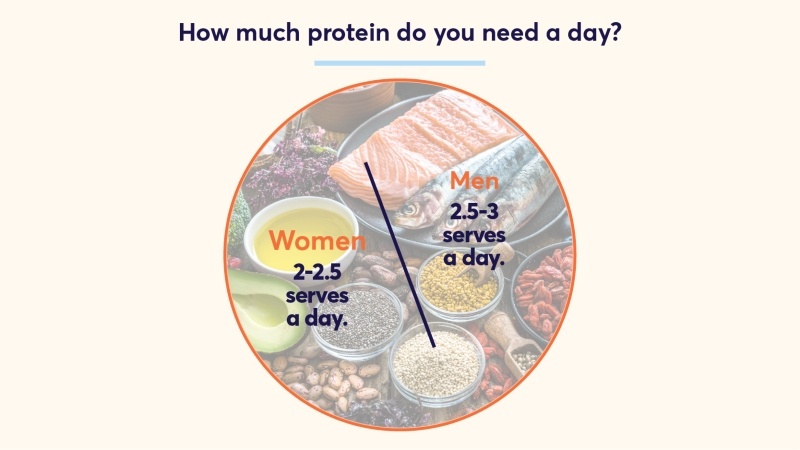 PROTEIN Infographic