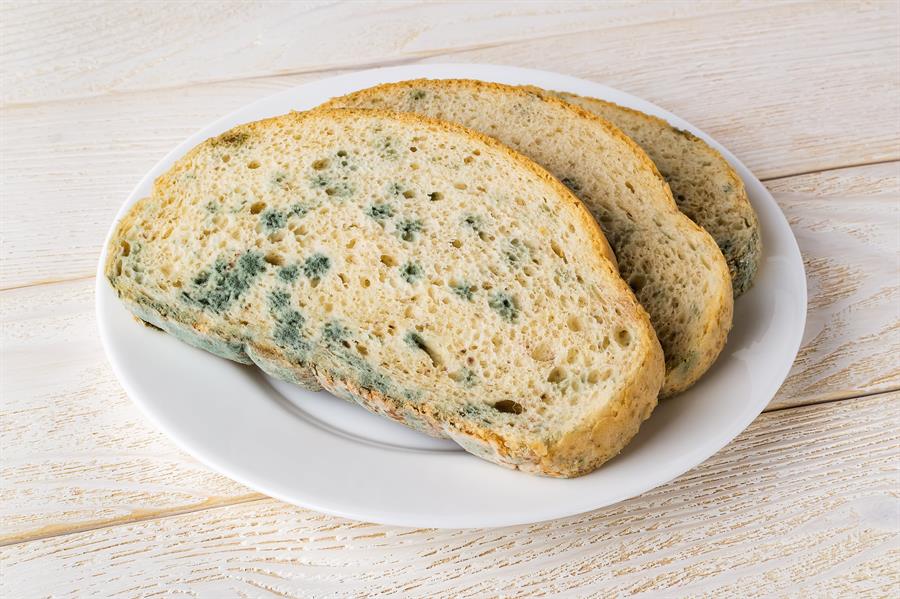 Is it ever safe to eat food with mould on it?