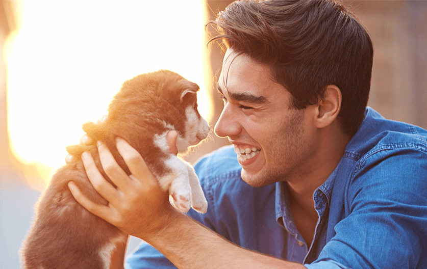 Pet effect